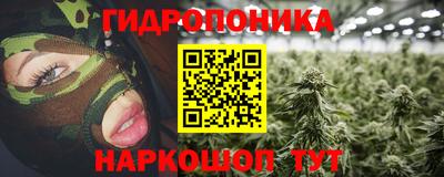 PSILOCYBIN Гагарин