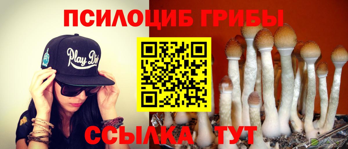 Березники  Псилоцибиновые грибы Psilocybine cubensis  Вход с VPN 